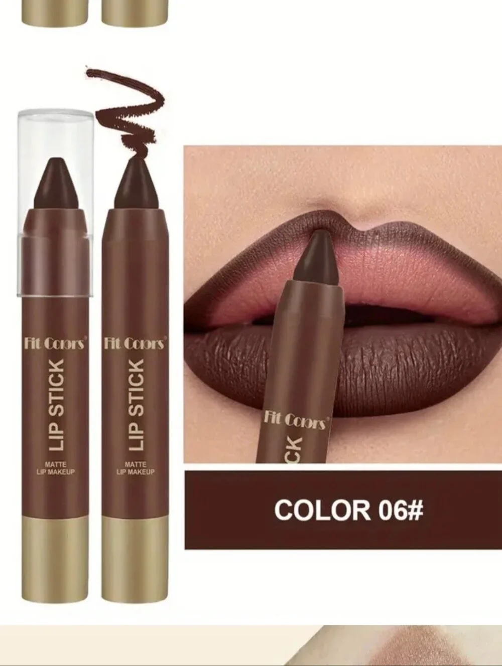 Matte Lipstick Stick in Deep Brown (Color 06)-NIB